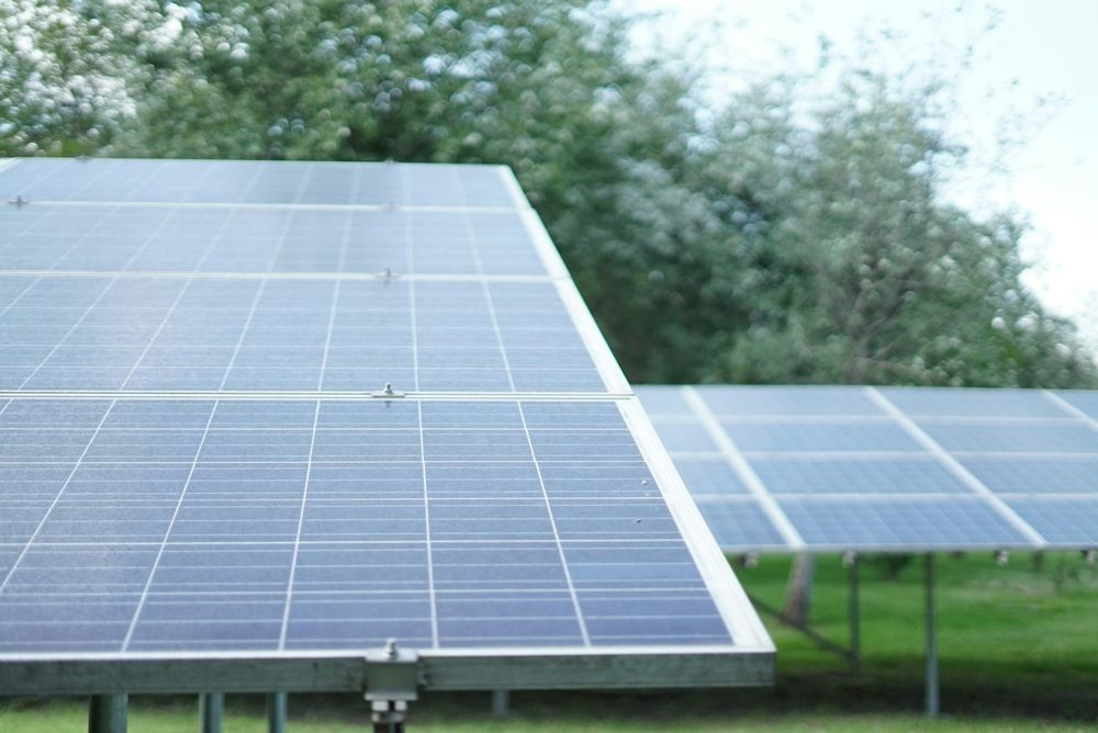 Aufgeständerte Solarmodule im Grünen